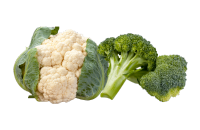 Broccoli, Cauliflower